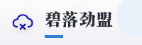 合作伙伴